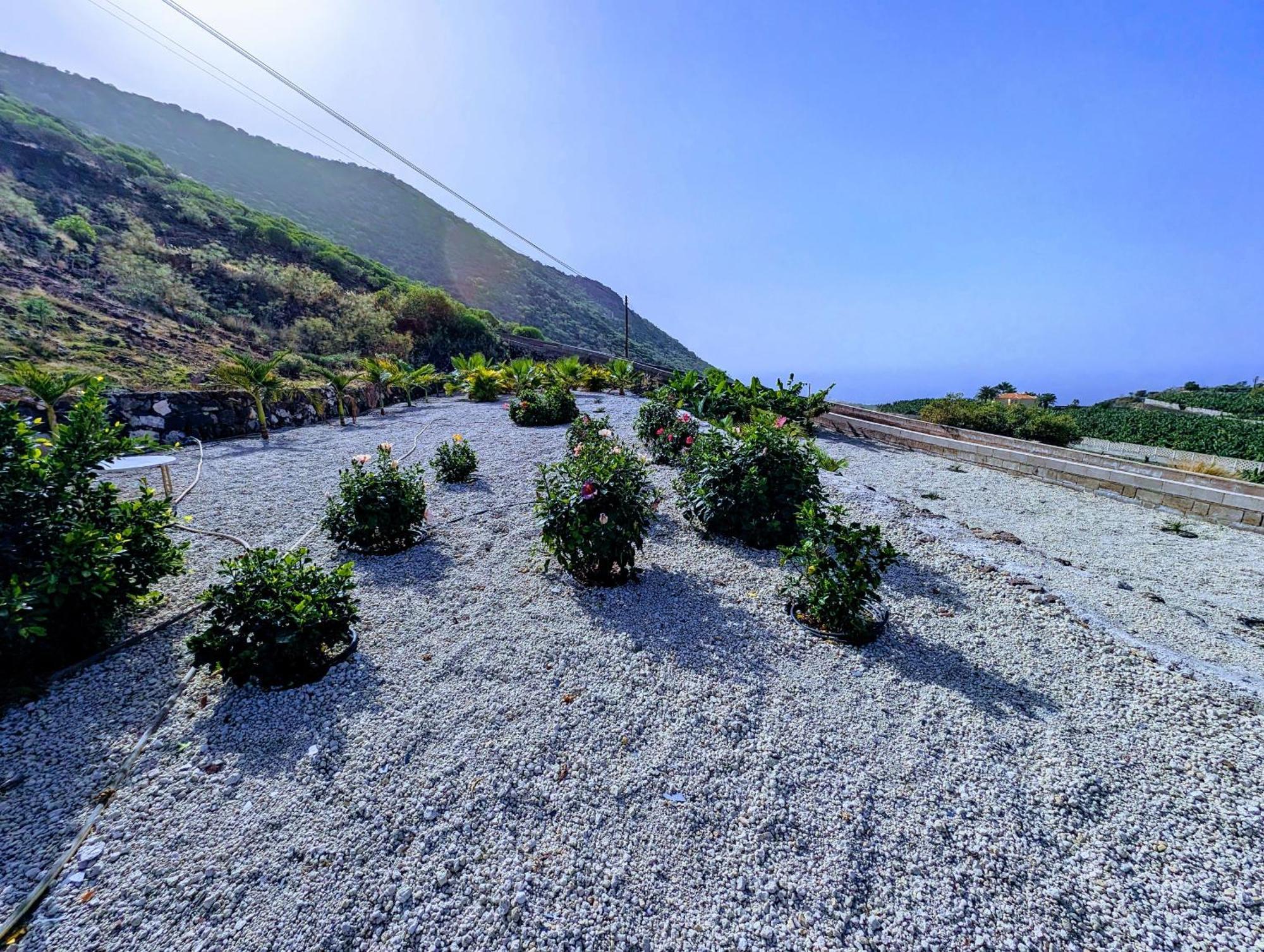 Cliff Haven Sea View Apartment - Adults Only Сантъяго-дель-Тейде Экстерьер фото
